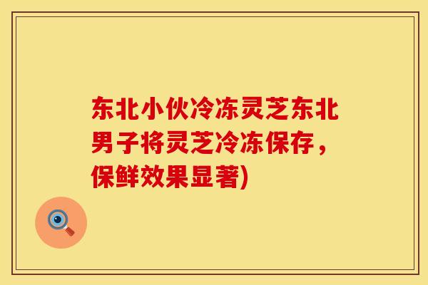东北小伙冷冻灵芝东北男子将灵芝冷冻保存，保鲜效果显著)