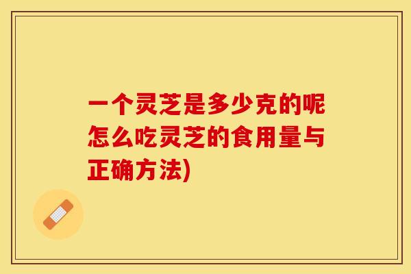 一个灵芝是多少克的呢怎么吃灵芝的食用量与正确方法)