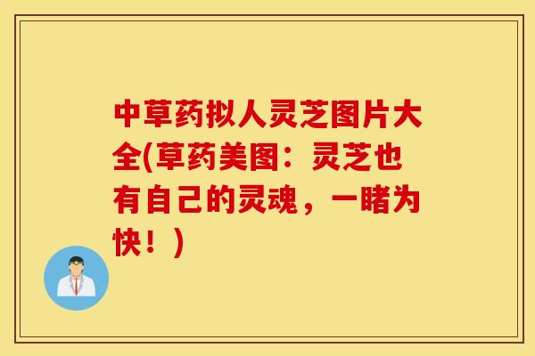 中草药拟人灵芝图片大全(草药美图：灵芝也有自己的灵魂，一睹为快！)