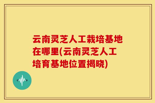 云南灵芝人工栽培基地在哪里(云南灵芝人工培育基地位置揭晓)