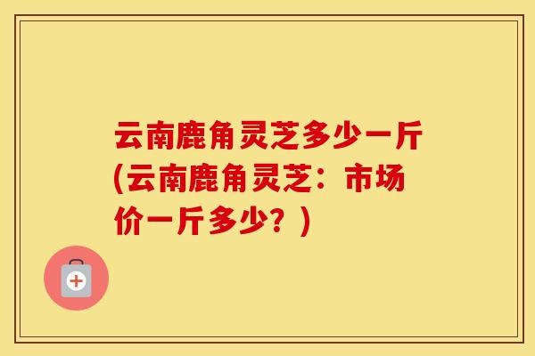 云南鹿角灵芝多少一斤(云南鹿角灵芝：市场价一斤多少？)
