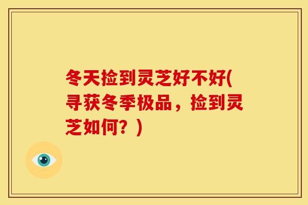 冬天捡到灵芝好不好(寻获冬季极品，捡到灵芝如何？)