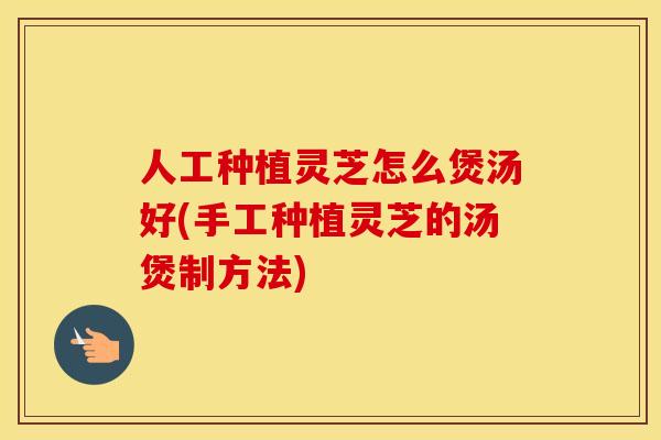 人工种植灵芝怎么煲汤好(手工种植灵芝的汤煲制方法)