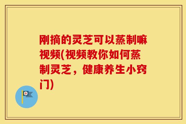 刚摘的灵芝可以蒸制嘛视频(视频教你如何蒸制灵芝，健康养生小窍门)