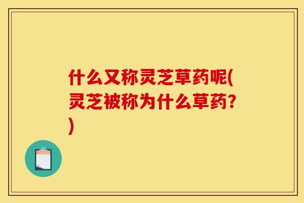 什么又称灵芝草药呢(灵芝被称为什么草药？)