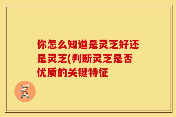你怎么知道是灵芝好还是灵芝(判断灵芝是否优质的关键特征