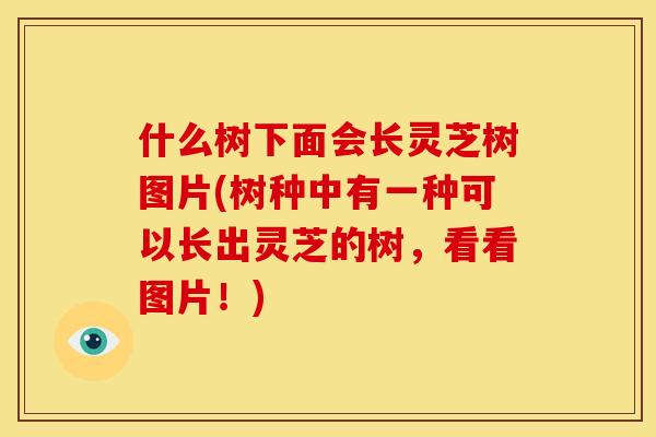 什么树下面会长灵芝树图片(树种中有一种可以长出灵芝的树，看看图片！)