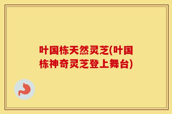 叶国栋天然灵芝(叶国栋神奇灵芝登上舞台)