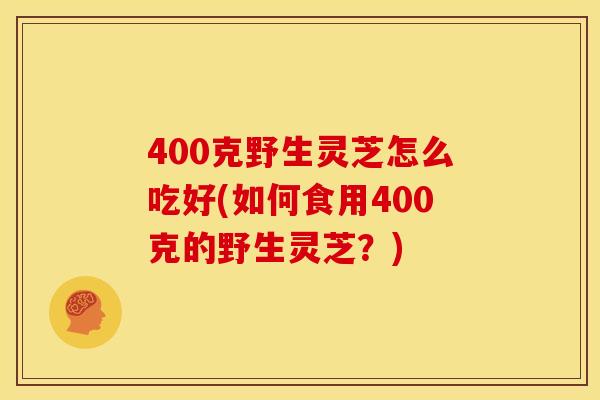 400克野生灵芝怎么吃好(如何食用400克的野生灵芝？)