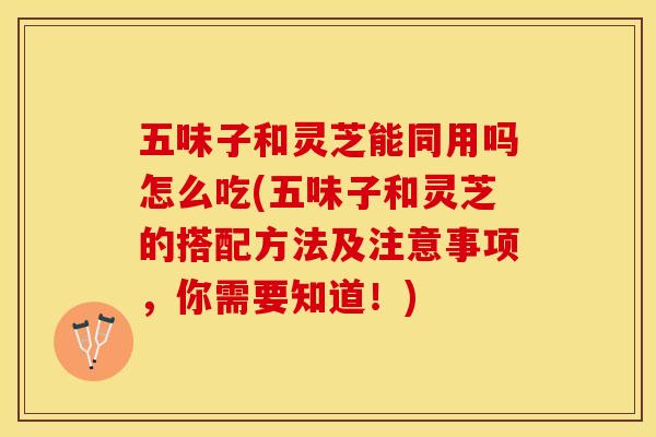 五味子和灵芝能同用吗怎么吃(五味子和灵芝的搭配方法及注意事项，你需要知道！)