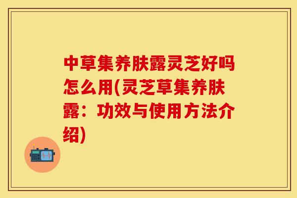 中草集养肤露灵芝好吗怎么用(灵芝草集养肤露：功效与使用方法介绍)