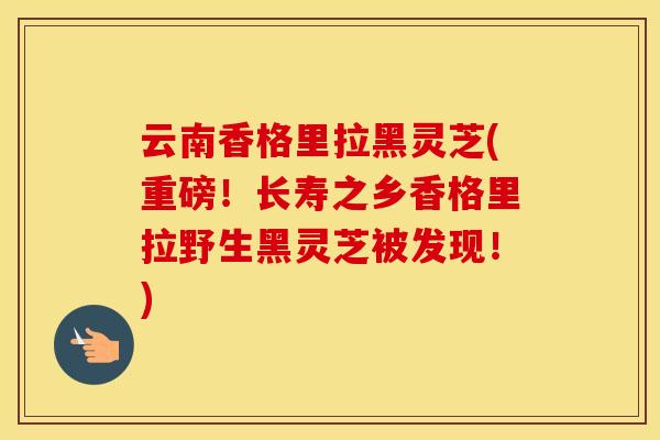 云南香格里拉黑灵芝(重磅！长寿之乡香格里拉野生黑灵芝被发现！)