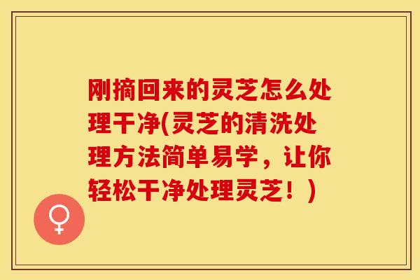 刚摘回来的灵芝怎么处理干净(灵芝的清洗处理方法简单易学，让你轻松干净处理灵芝！)