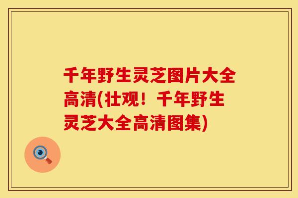 千年野生灵芝图片大全高清(壮观！千年野生灵芝大全高清图集)