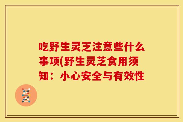 吃野生灵芝注意些什么事项(野生灵芝食用须知：小心安全与有效性