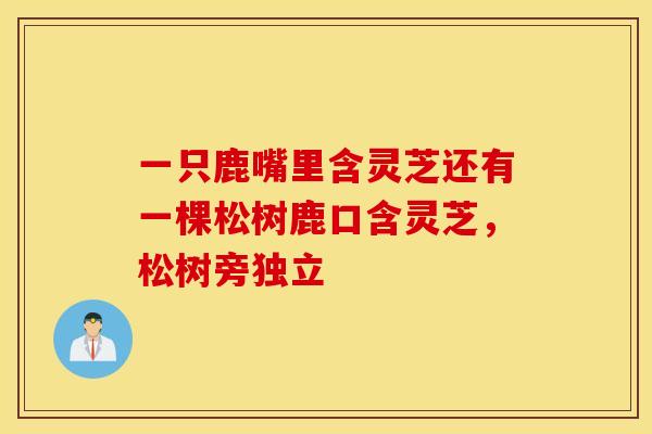 一只鹿嘴里含灵芝还有一棵松树鹿口含灵芝，松树旁独立