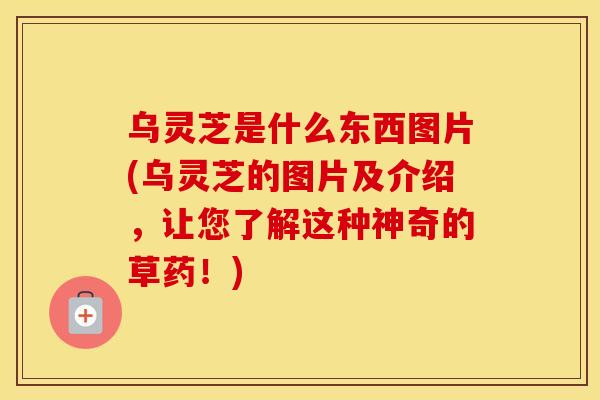 乌灵芝是什么东西图片(乌灵芝的图片及介绍，让您了解这种神奇的草药！)