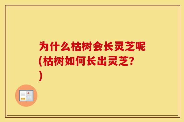 为什么枯树会长灵芝呢(枯树如何长出灵芝？)