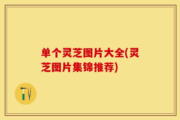 单个灵芝图片大全(灵芝图片集锦推荐)