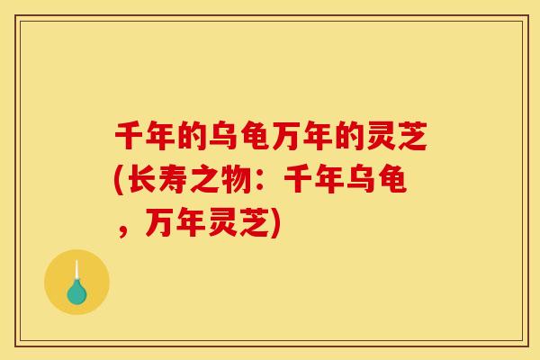 千年的乌龟万年的灵芝(长寿之物：千年乌龟，万年灵芝)