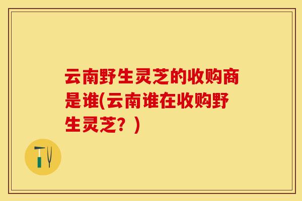 云南野生灵芝的收购商是谁(云南谁在收购野生灵芝？)