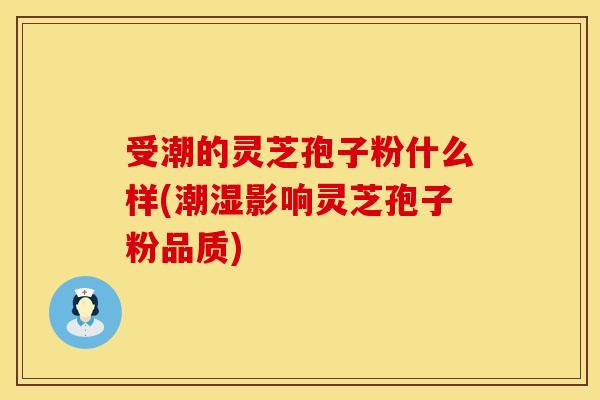 受潮的灵芝孢子粉什么样(潮湿影响灵芝孢子粉品质)
