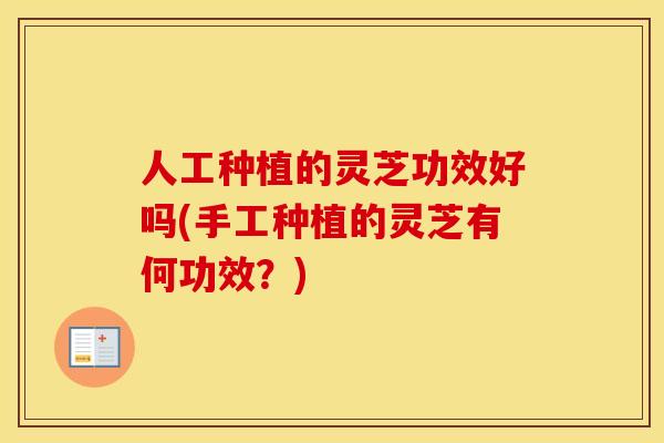 人工种植的灵芝功效好吗(手工种植的灵芝有何功效？)