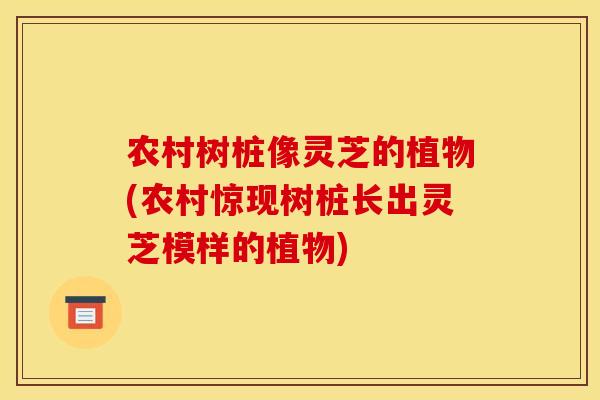 农村树桩像灵芝的植物(农村惊现树桩长出灵芝模样的植物)