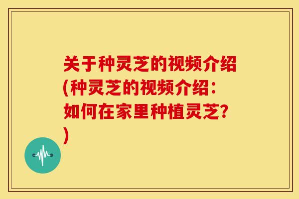 关于种灵芝的视频介绍(种灵芝的视频介绍：如何在家里种植灵芝？)