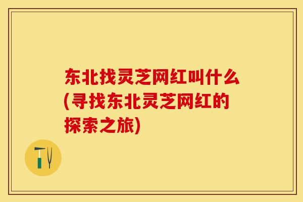 东北找灵芝网红叫什么(寻找东北灵芝网红的探索之旅)
