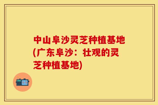 中山阜沙灵芝种植基地(广东阜沙：壮观的灵芝种植基地)