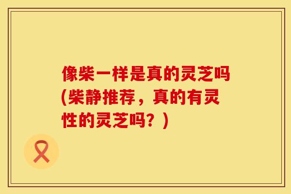 像柴一样是真的灵芝吗(柴静推荐，真的有灵性的灵芝吗？)