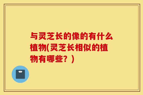 与灵芝长的像的有什么植物(灵芝长相似的植物有哪些？)