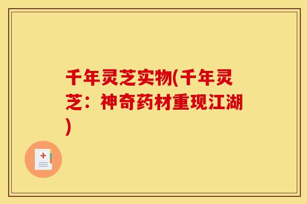 千年灵芝实物(千年灵芝：神奇药材重现江湖)