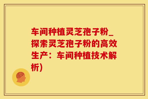 车间种植灵芝孢子粉_探索灵芝孢子粉的高效生产：车间种植技术解析)