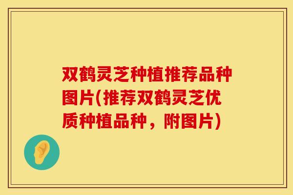 双鹤灵芝种植推荐品种图片(推荐双鹤灵芝优质种植品种，附图片)