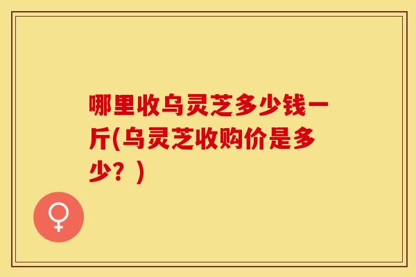 哪里收乌灵芝多少钱一斤(乌灵芝收购价是多少？)