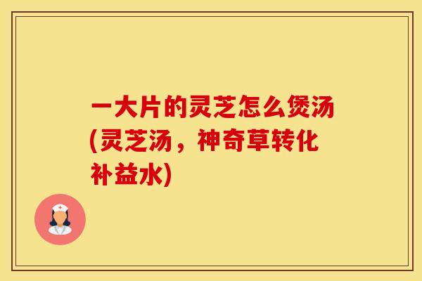 一大片的灵芝怎么煲汤(灵芝汤，神奇草转化补益水)