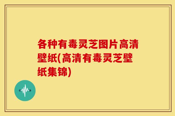 各种有毒灵芝图片高清壁纸(高清有毒灵芝壁纸集锦)