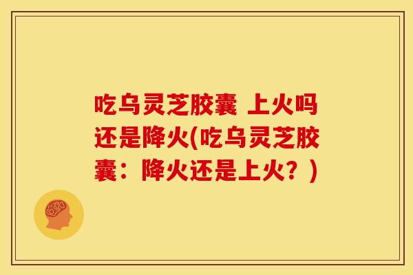 吃乌灵芝胶囊 上火吗还是降火(吃乌灵芝胶囊：降火还是上火？)