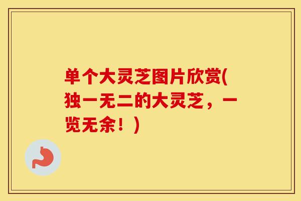 单个大灵芝图片欣赏(独一无二的大灵芝，一览无余！)