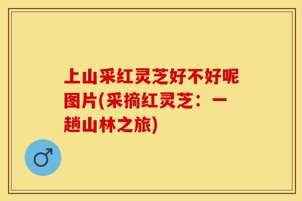 上山采红灵芝好不好呢图片(采摘红灵芝：一趟山林之旅)