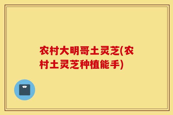 农村大明哥土灵芝(农村土灵芝种植能手)