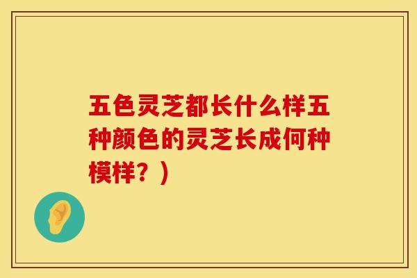 五色灵芝都长什么样五种颜色的灵芝长成何种模样？)