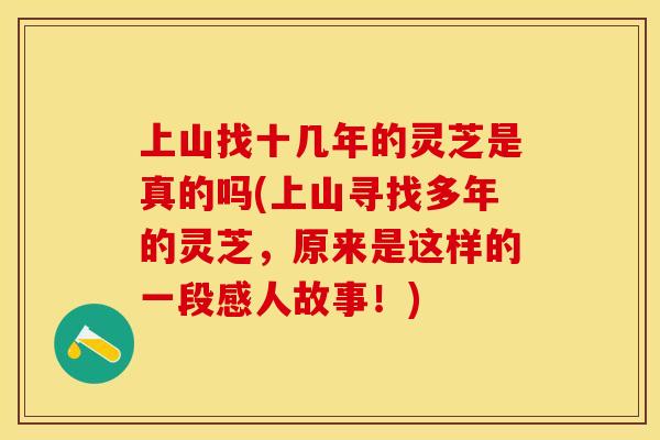 上山找十几年的灵芝是真的吗(上山寻找多年的灵芝，原来是这样的一段感人故事！)