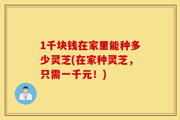 1千块钱在家里能种多少灵芝(在家种灵芝，只需一千元！)