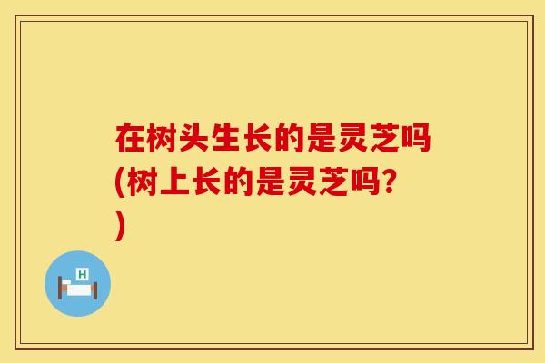 在树头生长的是灵芝吗(树上长的是灵芝吗？)