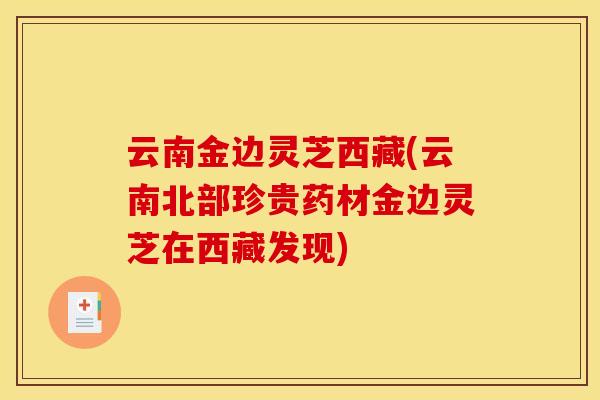 云南金边灵芝西藏(云南北部珍贵药材金边灵芝在西藏发现)