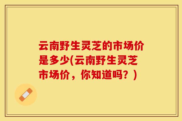 云南野生灵芝的市场价是多少(云南野生灵芝市场价，你知道吗？)