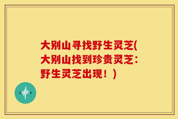 大别山寻找野生灵芝(大别山找到珍贵灵芝：野生灵芝出现！)